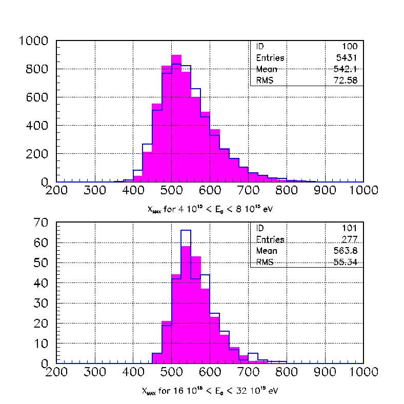 Xmax distribution